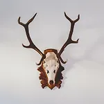 Wald Lägenhet
