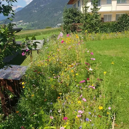 Apartament Wald Arzl im Pitztal
