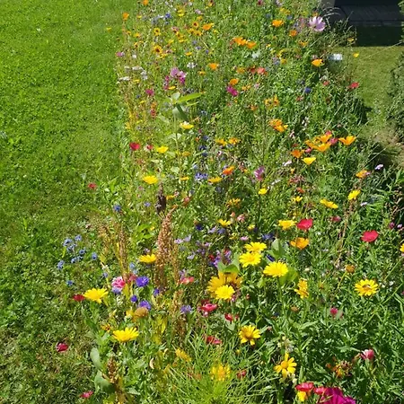Wald Apartment Arzl im Pitztal