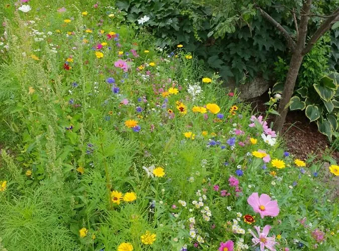 Wald アルツル・イム・ピッツタール