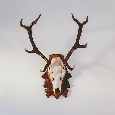 Wald Διαμέρισμα